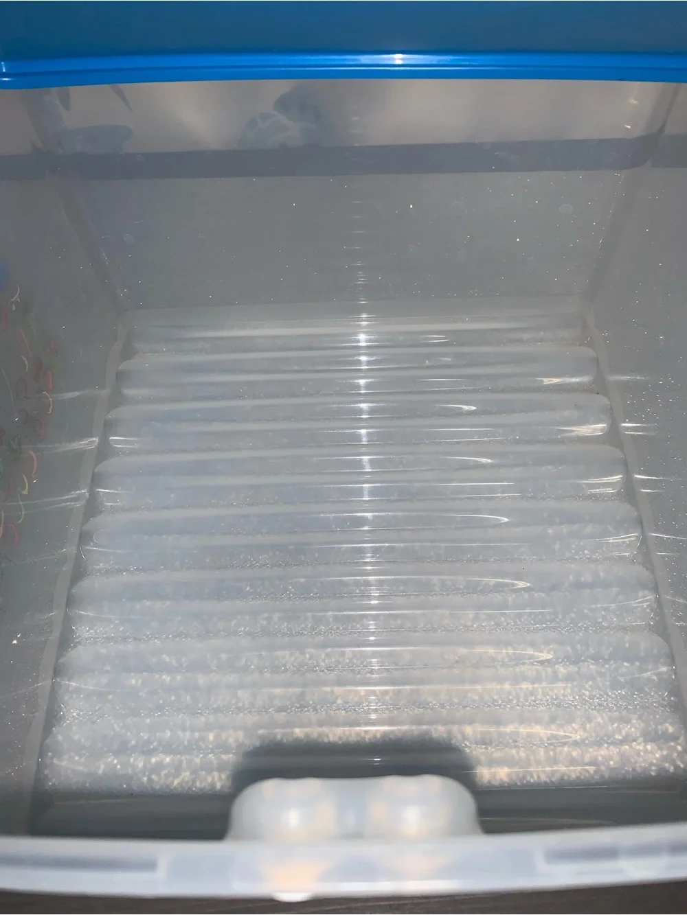 Tupperware fridgesmart this
